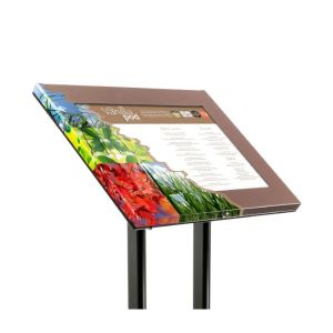 Impact Full Colour Angled Stand